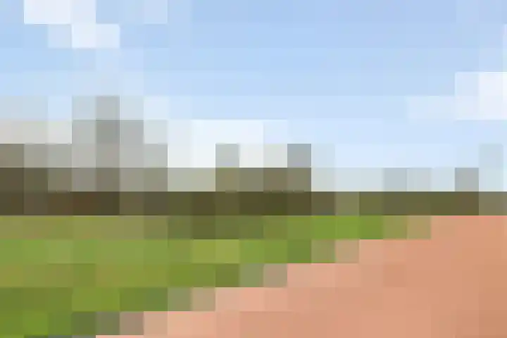 De Marke 8 Lemelerveld thumbnail 4