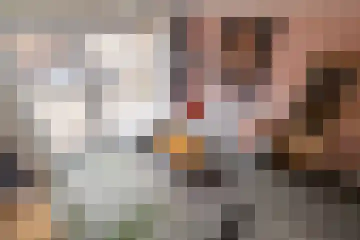 De Marke 8 Lemelerveld thumbnail 9