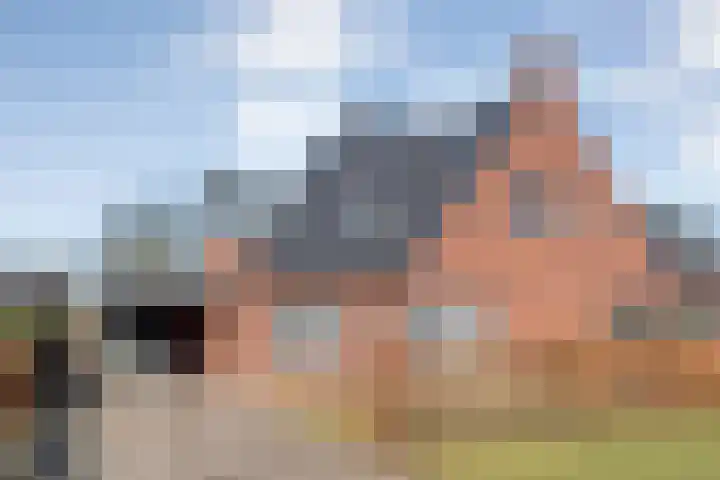 de Marke 9 Dalerveen