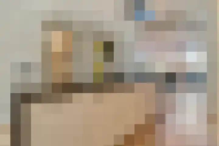 de Marke 9 Dalerveen thumbnail 30