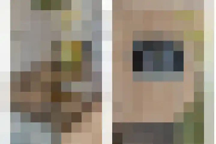 de Marke 9 Dalerveen thumbnail 31