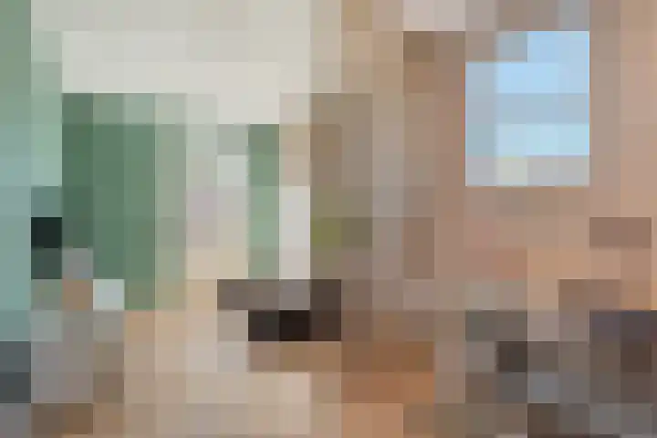 de Marke 9 Dalerveen thumbnail 34