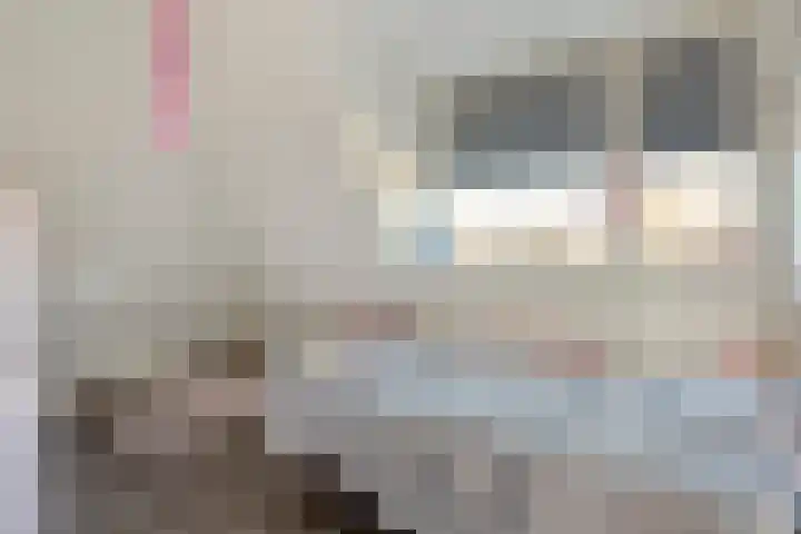de Marke 9 Dalerveen thumbnail 42