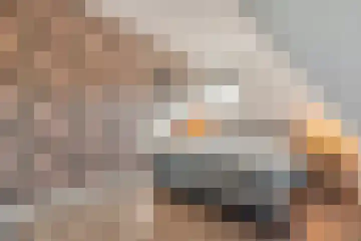 de Marke 9 Dalerveen thumbnail 45