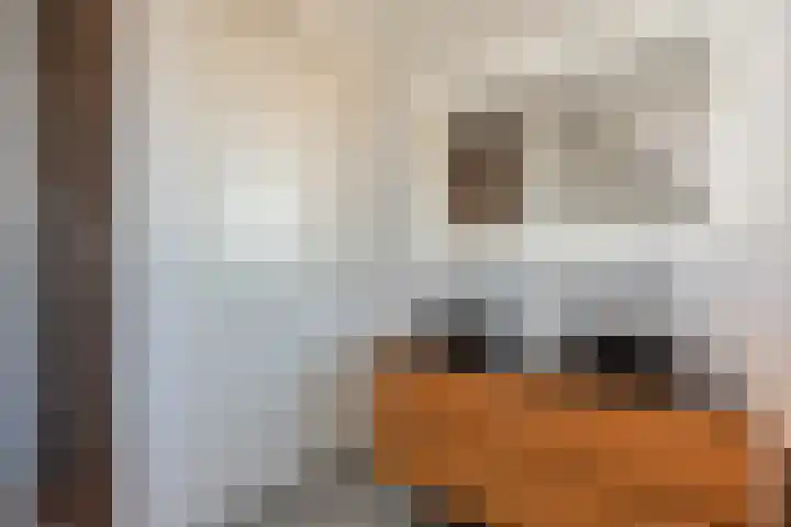de Marke 9 Dalerveen thumbnail 49