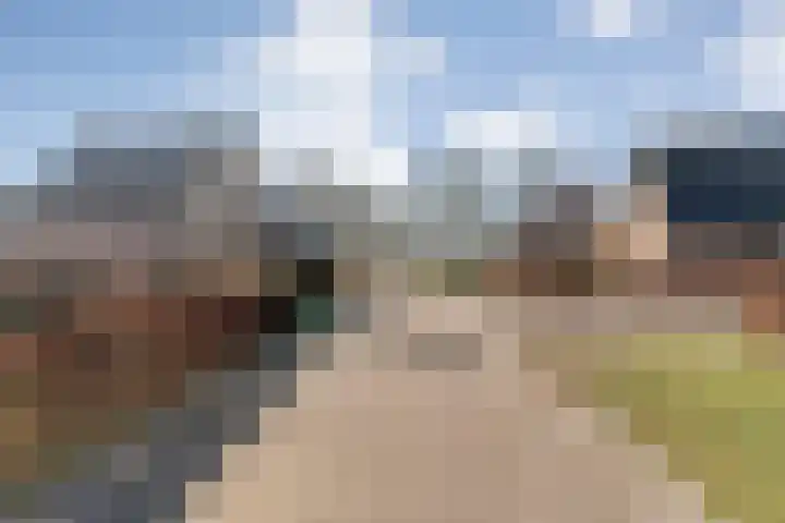 de Marke 9 Dalerveen thumbnail 5