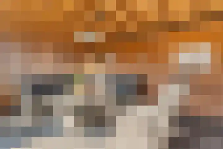 de Marke 9 Dalerveen thumbnail 59