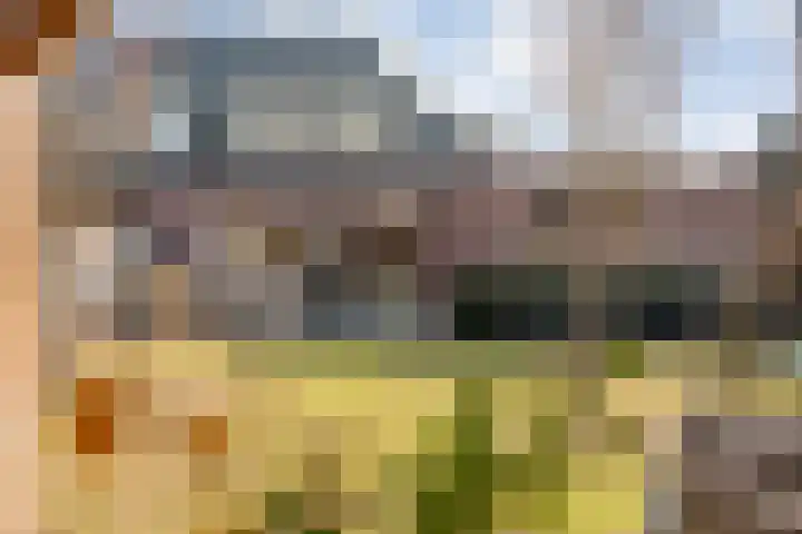 de Marke 9 Dalerveen thumbnail 61