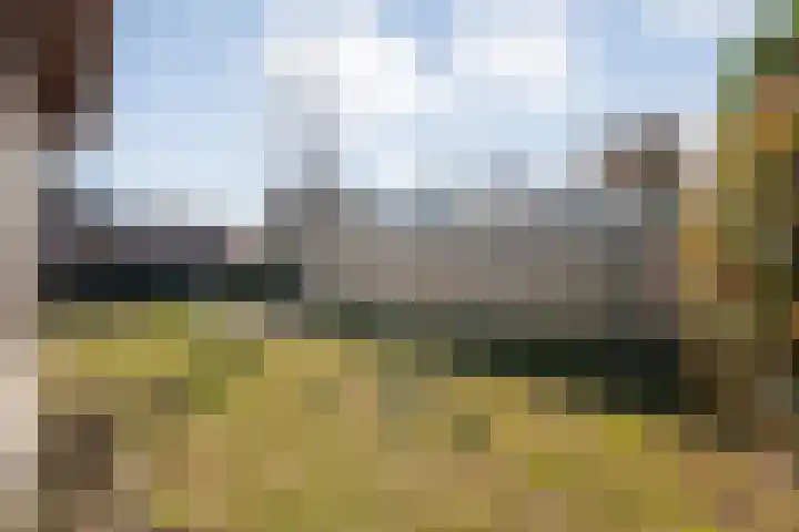 de Marke 9 Dalerveen thumbnail 62