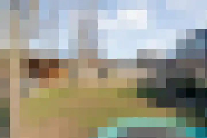 de Marke 9 Dalerveen thumbnail 63