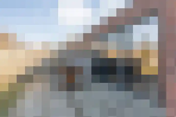 de Marke 9 Dalerveen thumbnail 66