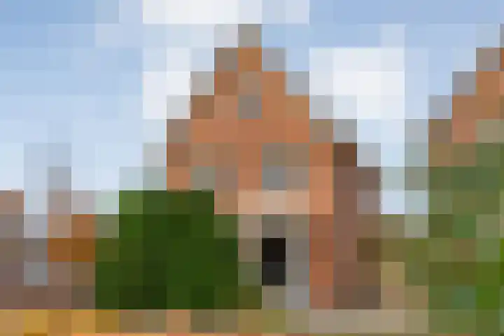 De Marke van Leusen 24 in Nieuwleusen