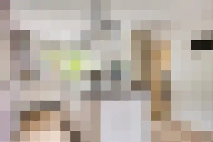 De Markerichter 1 Borculo thumbnail 19