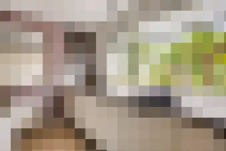 De Markerichter 1 Borculo thumbnail 21