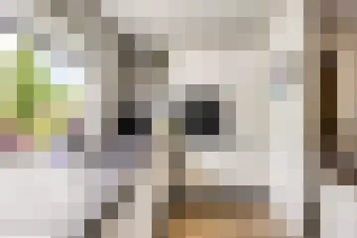 De Markerichter 1 Borculo thumbnail 23