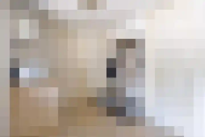 De Markerichter 1 Borculo thumbnail 25