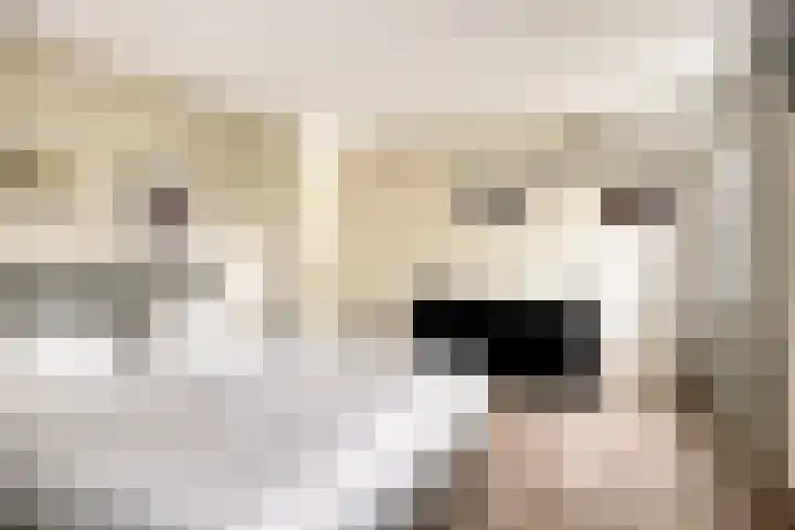 De Markerichter 1 Borculo thumbnail 30