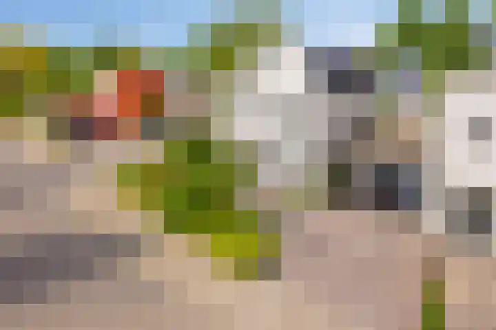 De Markerichter 1 Borculo thumbnail 32