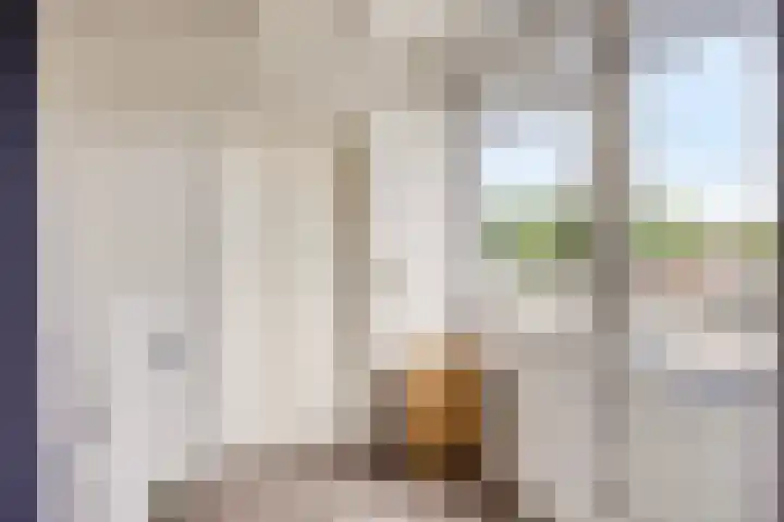 De Markerichter 1 Borculo thumbnail 35