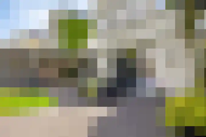 De Markerichter 1 Borculo thumbnail 44