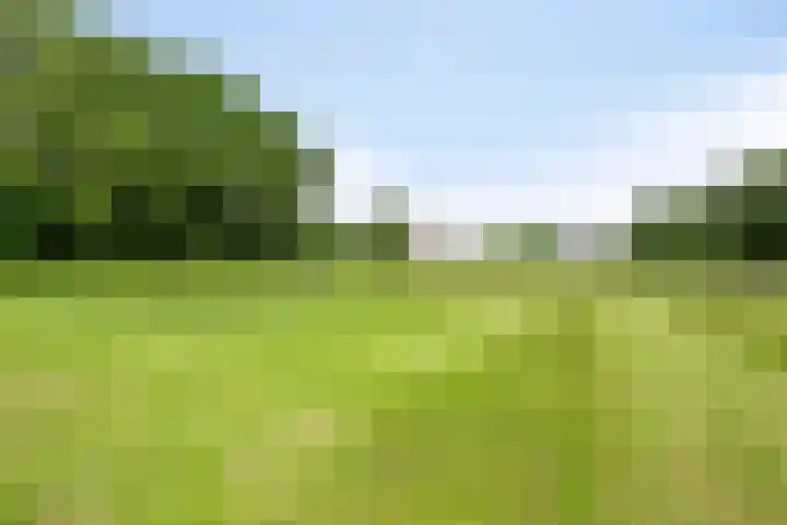 De Markerichter 1 Borculo thumbnail 59
