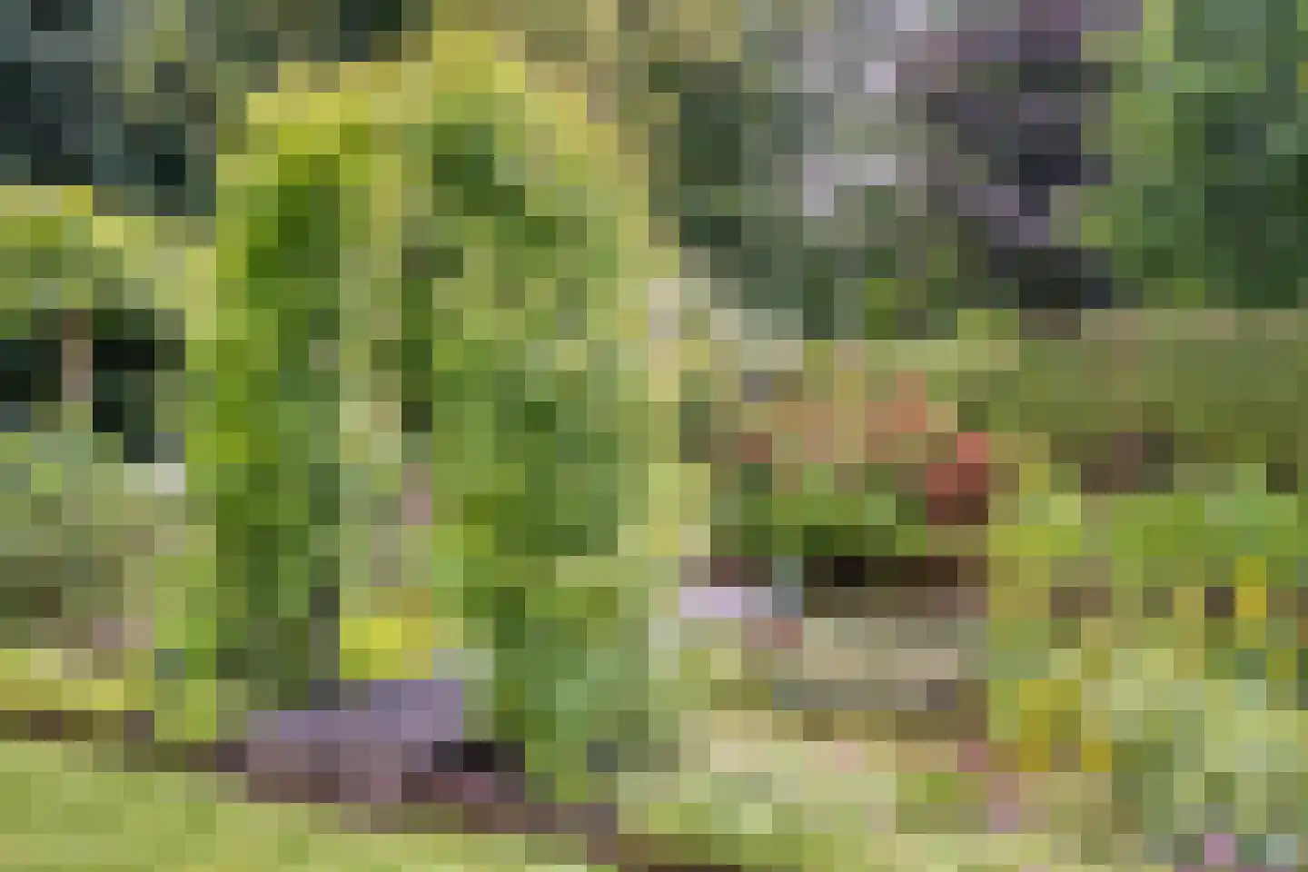 De Markerichter 70 Borculo thumbnail 12