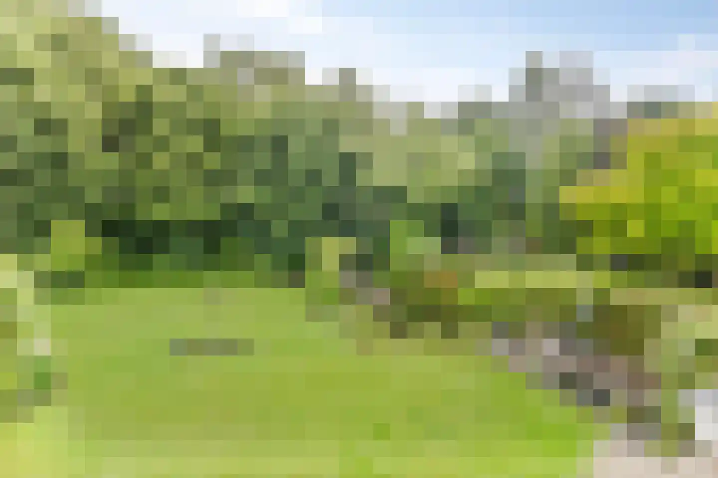 De Markerichter 70 Borculo thumbnail 13