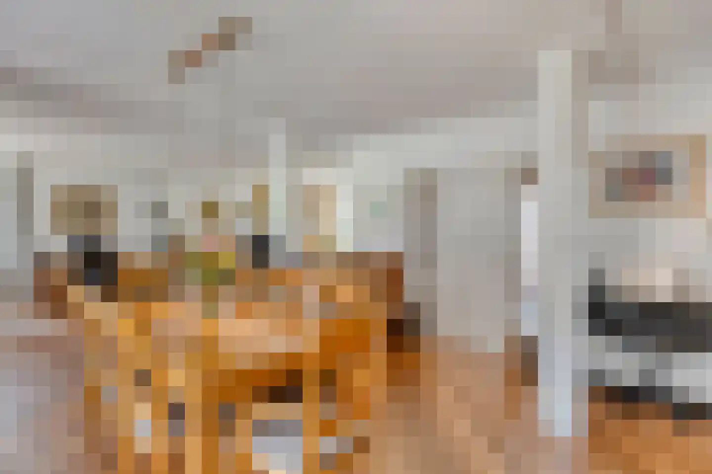 De Markerichter 70 Borculo thumbnail 15