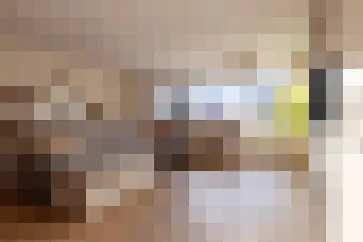 De Maroc 27 Wateringen thumbnail 22