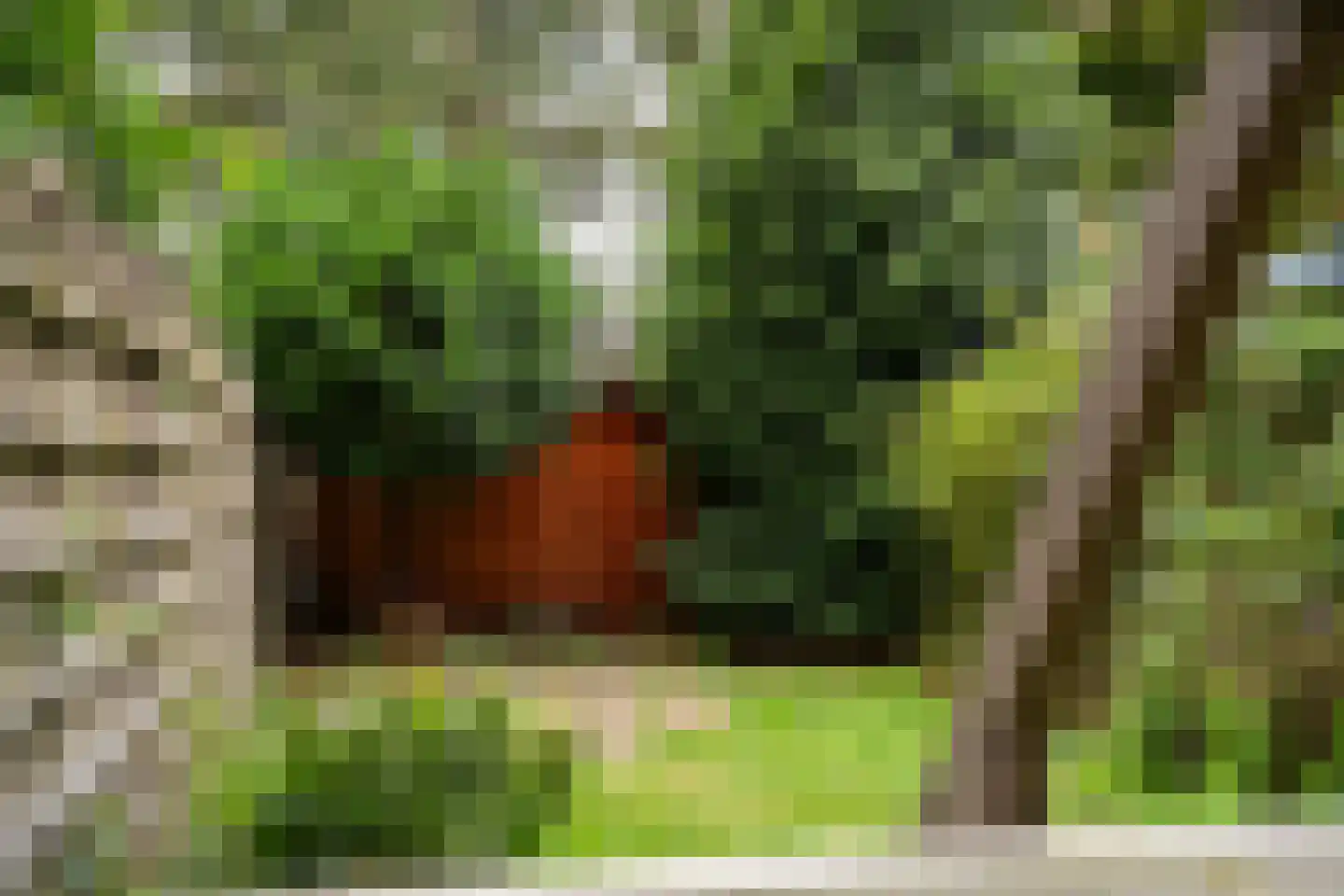 De Mars 10 Westervoort thumbnail 14