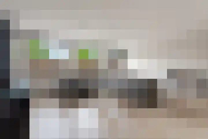 De Mars 10 Westervoort thumbnail 26