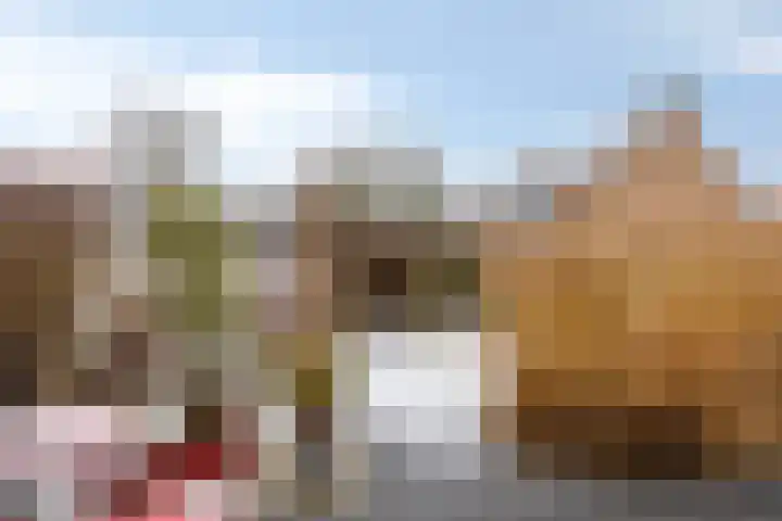 De Mars 10 Westervoort thumbnail 33