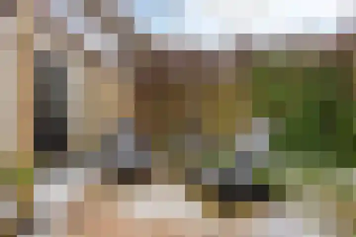 De Mars 10 Westervoort thumbnail 37