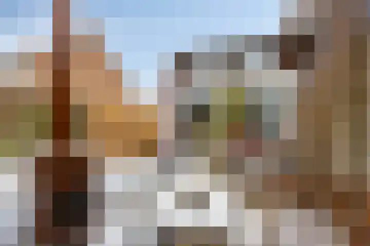 De Mars 10 Westervoort thumbnail 38