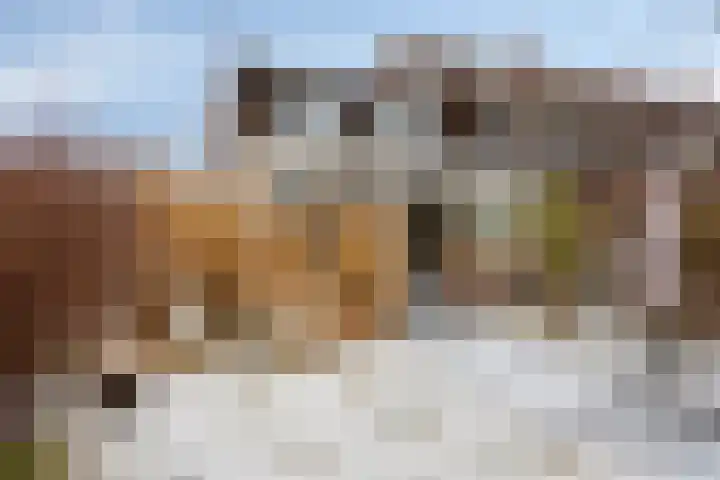 De Mars 10 Westervoort thumbnail 39