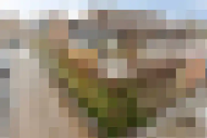 De Mars 10 Westervoort thumbnail 40