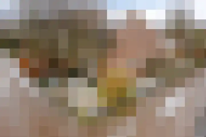 De Mars 10 Westervoort thumbnail 42