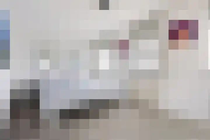 De Mars 10 Westervoort thumbnail 48