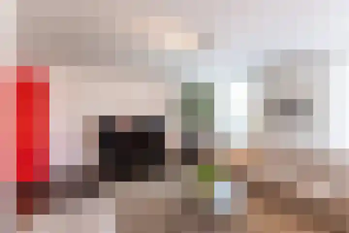 De Mars 10 Westervoort thumbnail 5