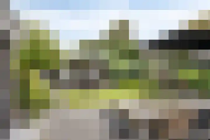 de Marsjes 31 Hellendoorn thumbnail 11