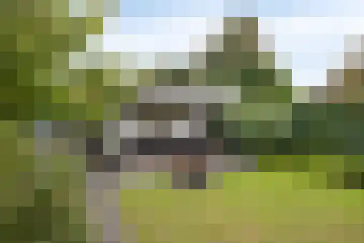 de Marsjes 31 Hellendoorn thumbnail 12