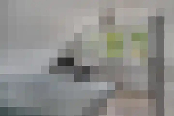 de Marsjes 31 Hellendoorn thumbnail 20
