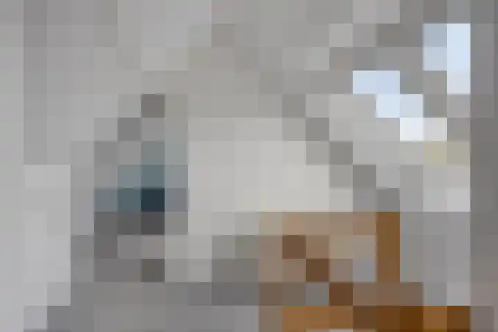 de Marsjes 31 Hellendoorn thumbnail 23