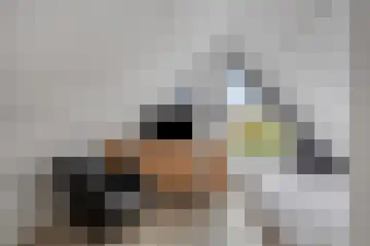 de Marsjes 31 Hellendoorn thumbnail 25