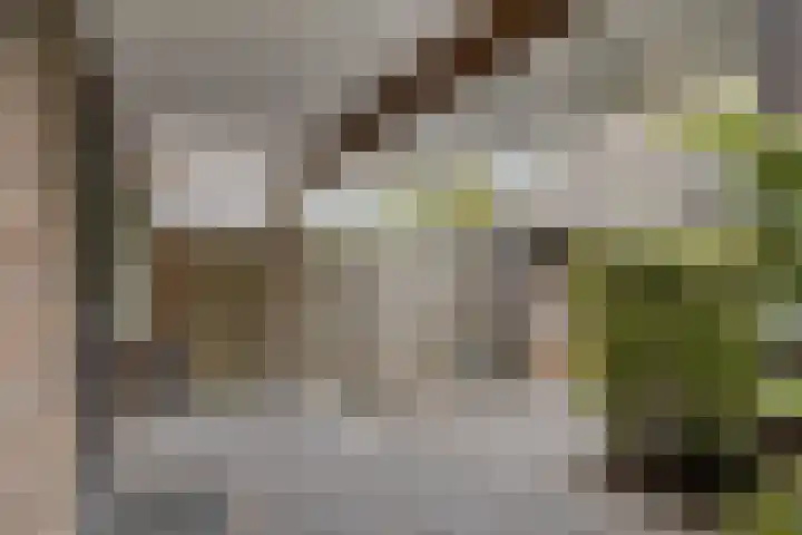 de Marsjes 31 Hellendoorn thumbnail 35