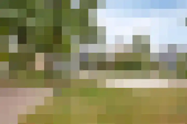 de Marsjes 31 Hellendoorn thumbnail 39