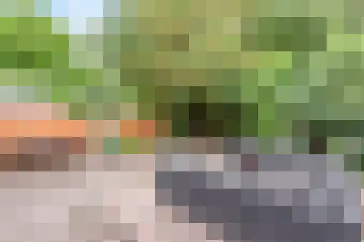 de Marsjes 72 Hellendoorn thumbnail 15