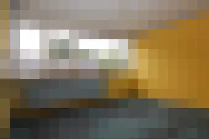 de Maten 41 Raalte thumbnail 14