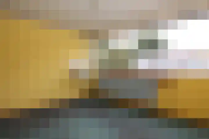 de Maten 41 Raalte thumbnail 15