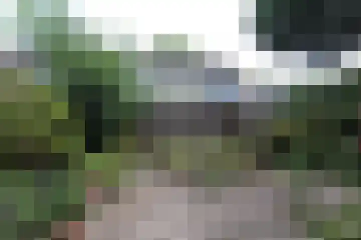 de Maten 41 Raalte thumbnail 22